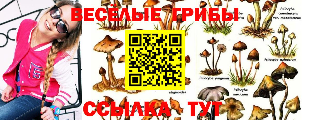 Джанкой  Псилоцибиновые грибы GOLDEN TEACHER  Вход с VPN  Псилоцибиновые грибы прущие грибы 